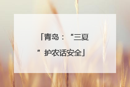 青岛：“三夏”护农话安全
